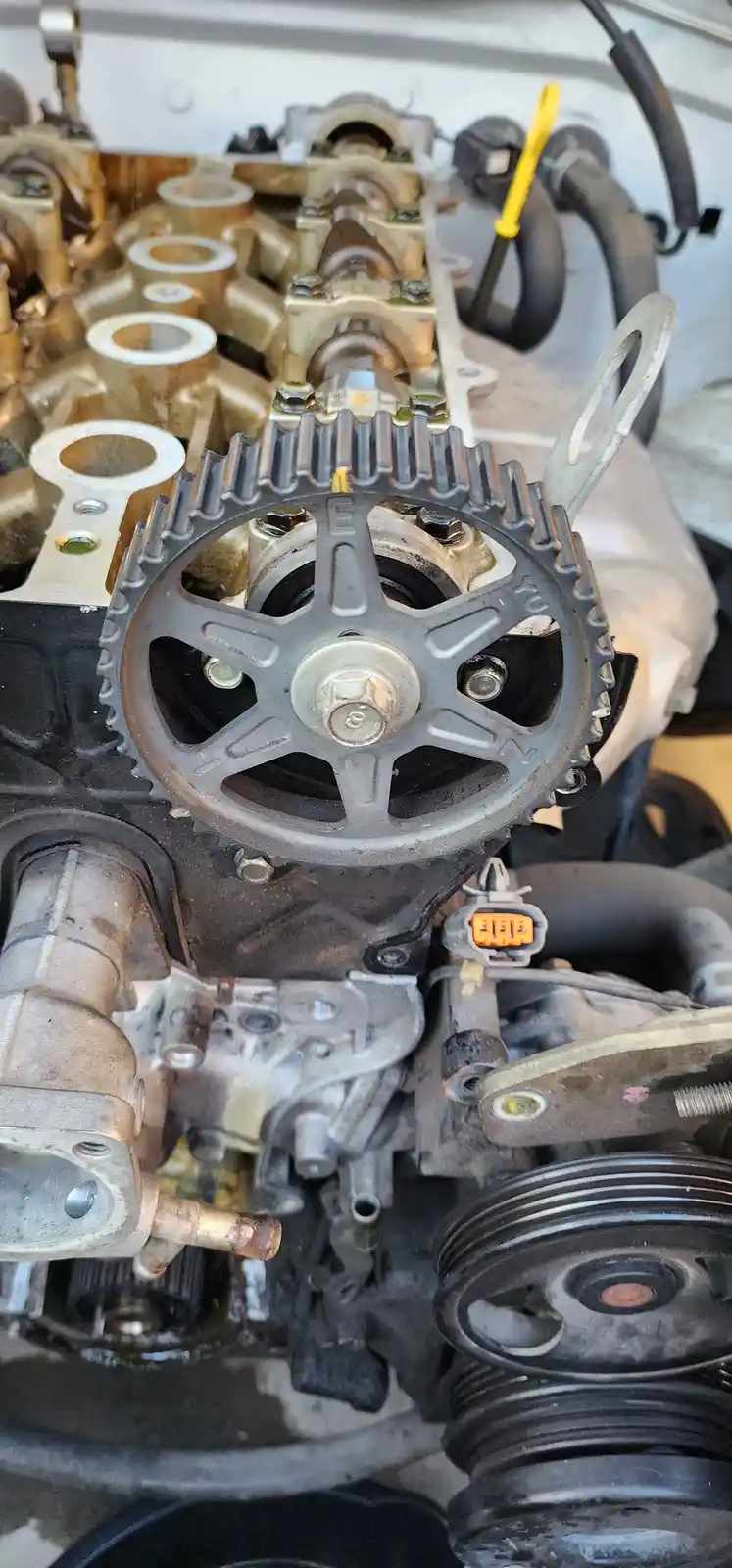 NB2 Cams with a Unique Green Oil Twist