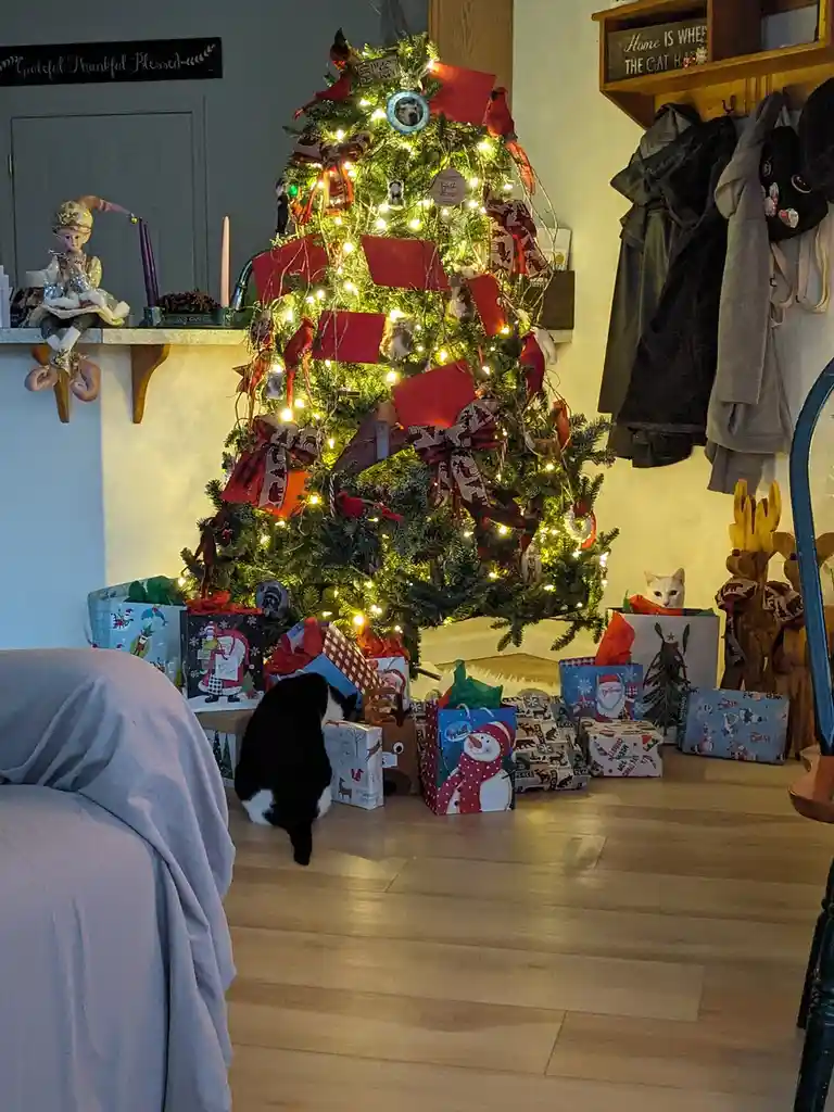 Festive Cheers: Merry Christmas from Oregon, USA!