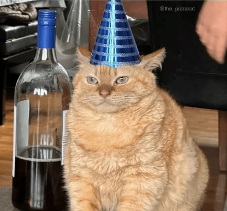 An orange tabby cat wearing a blue and silver striped party hat sits next to an empty wine bottle with a small amount of…