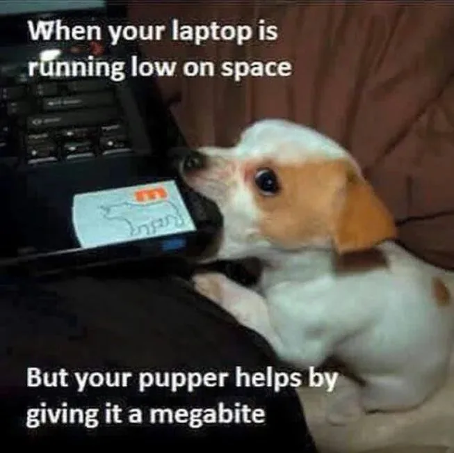 A small white and tan puppy is shown chewing on the edge of a laptop keyboard, with a sticker visible on the laptop's palm…