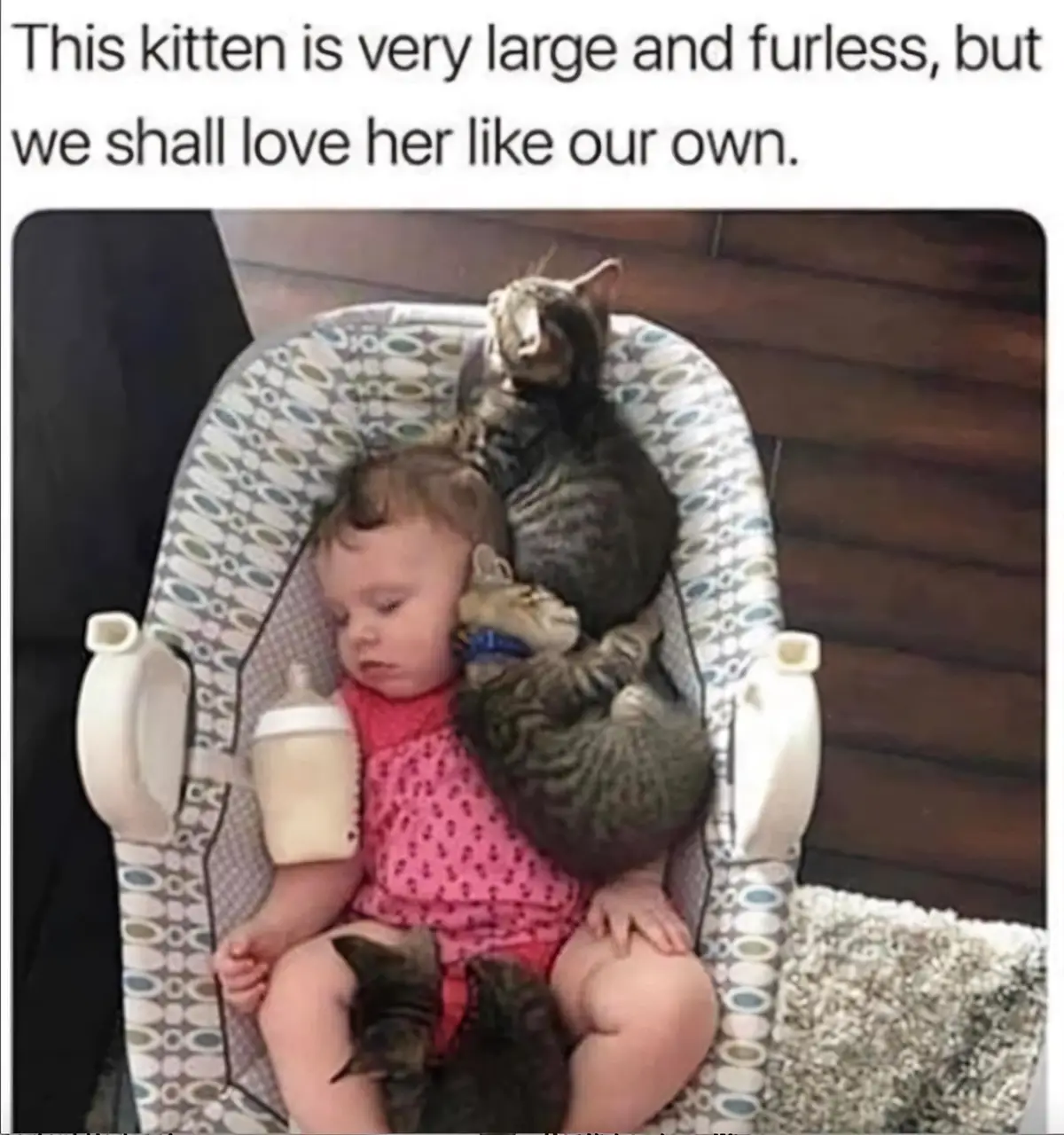A sleeping baby in a patterned baby seat is surrounded by multiple tabby kittens, with one large tabby kitten resting on her…