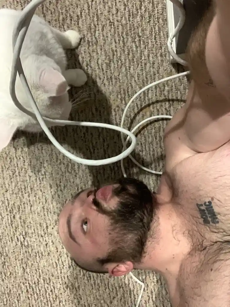 Double Dipping for the Win: Cleavage, Cats, and Trophies