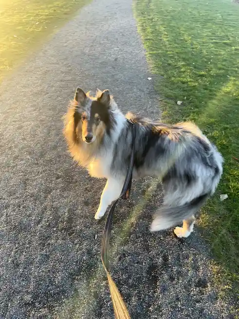 The Magic of Golden Hour