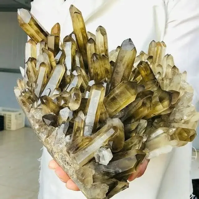 A person in a white shirt is holding a large, dense cluster of smoky quartz crystals, which are translucent with…