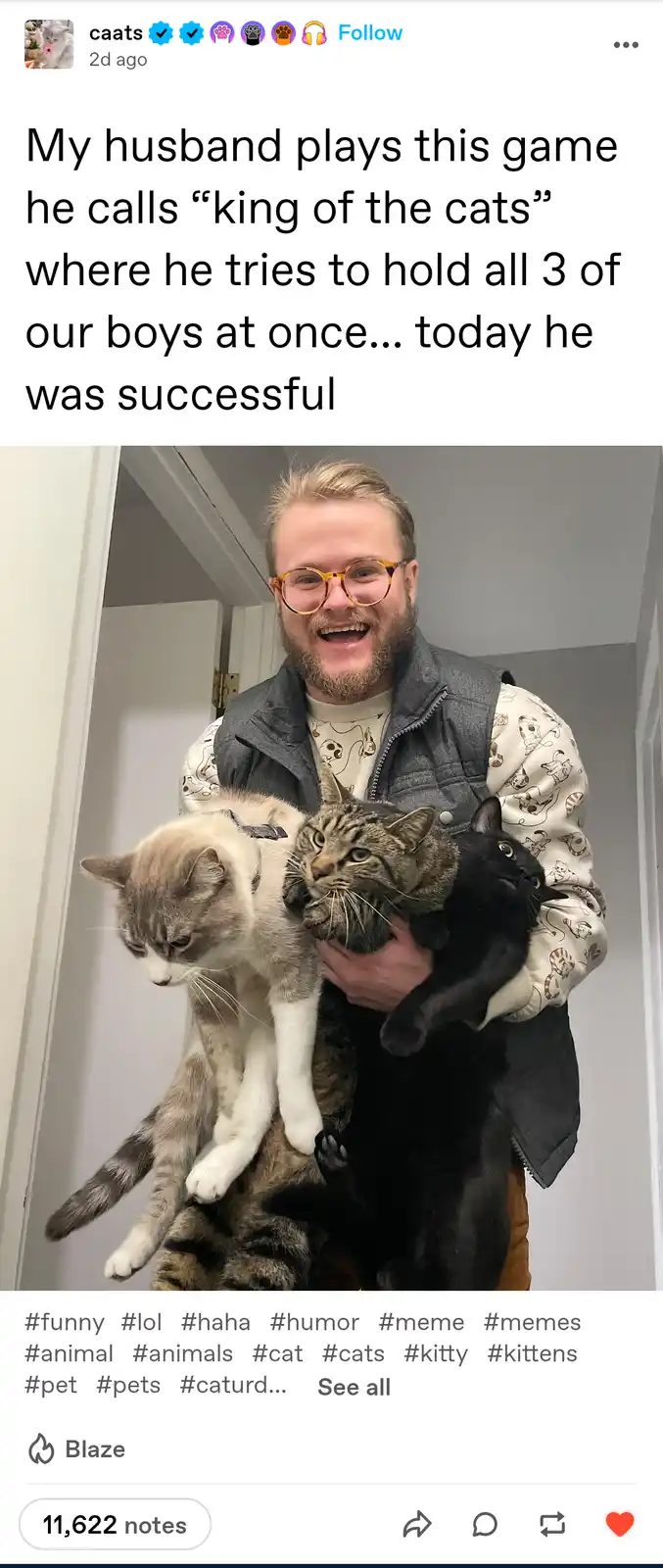 A smiling man with glasses and a beard is holding three cats simultaneously — a grey and white cat, a tabby cat, and a black…