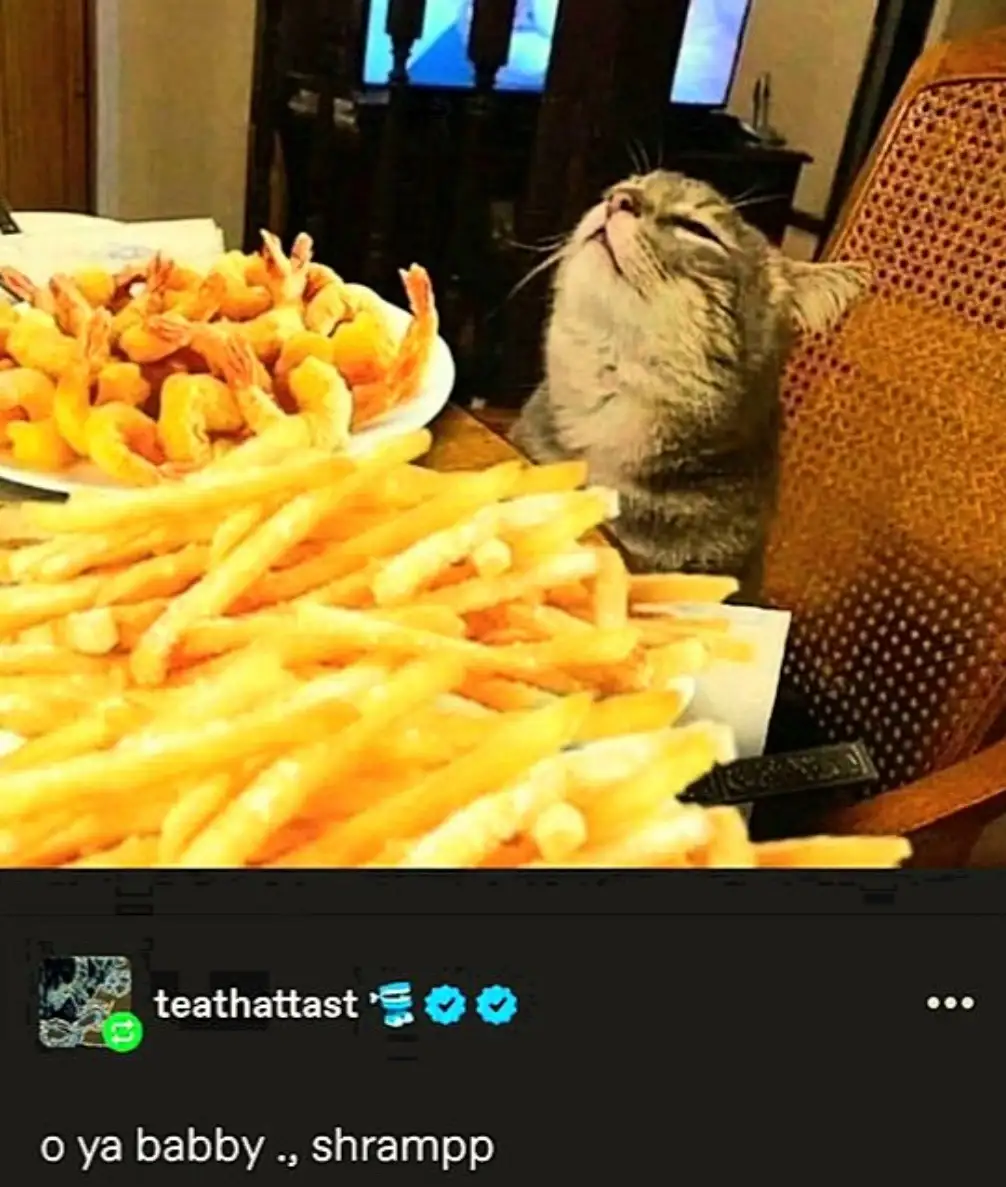 A gray tabby cat sits at a table with a large pile of french fries and a plate of fried shrimp, tilting its head back with…