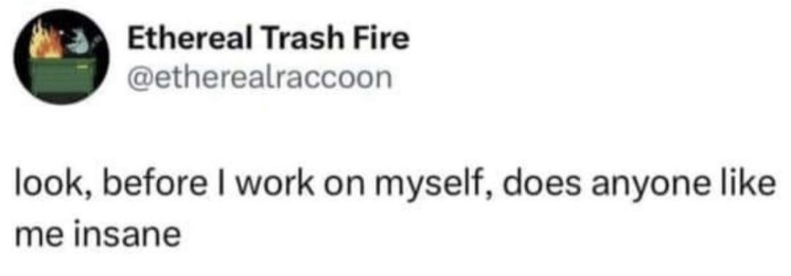 A screenshot of a tweet from the account 'Ethereal Trash Fire' (@etherealraccoon) showing the text 'look, before I work on…