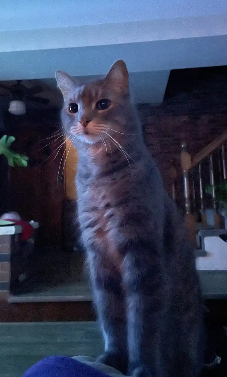 I proudly wear the crown of my own kingdom.