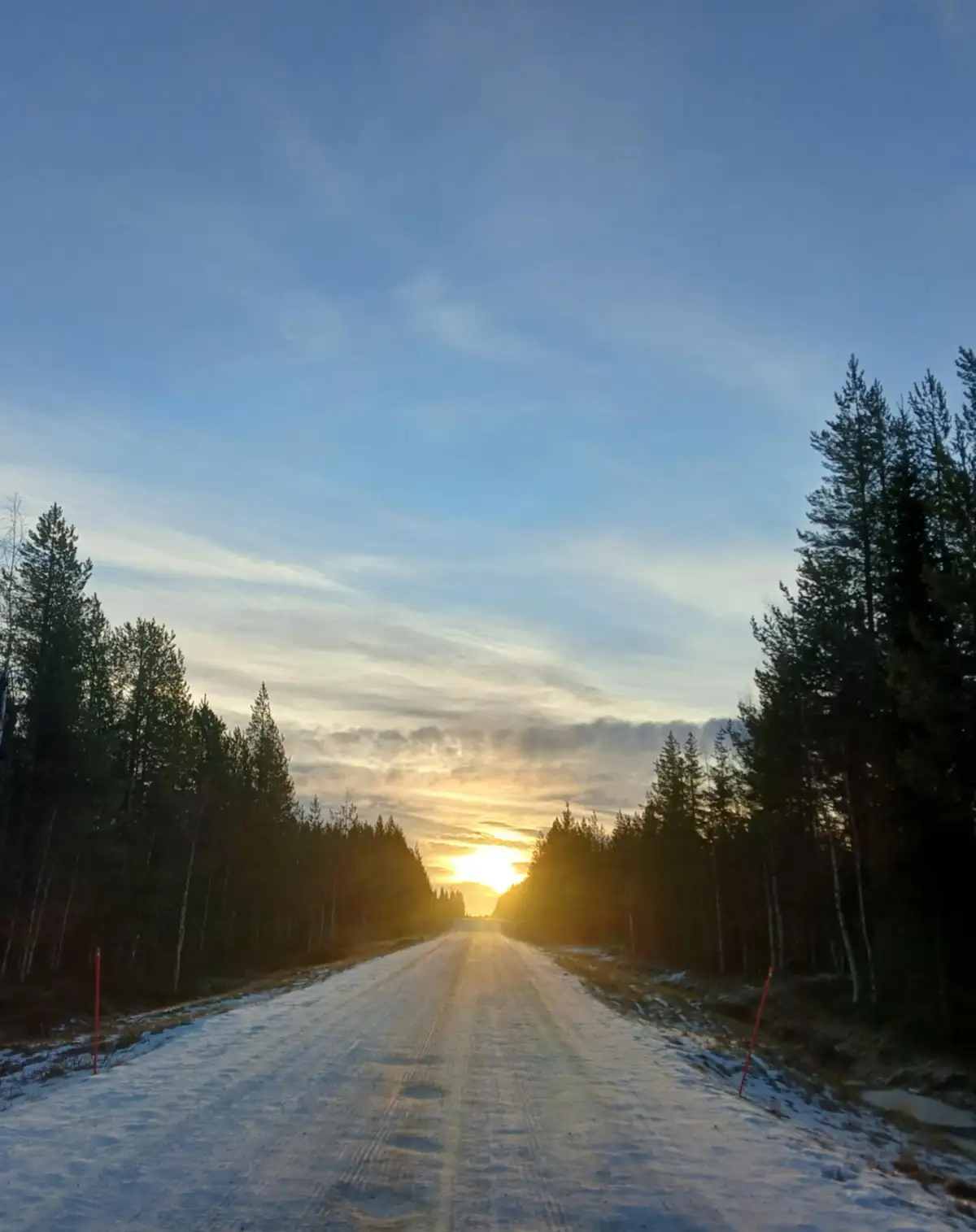 A scenic photo of a snow-covered road flanked by tall pine trees, leading toward a bright sunrise or sunset on the horizon…