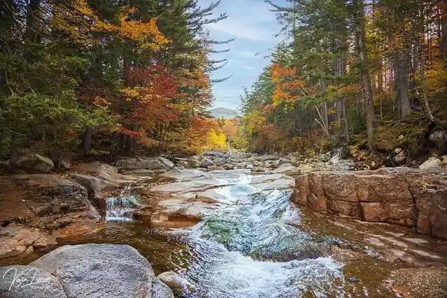 A scenic autumn forest with a rocky stream flowing through it, surrounded by trees with vibrant orange, yellow, and green…