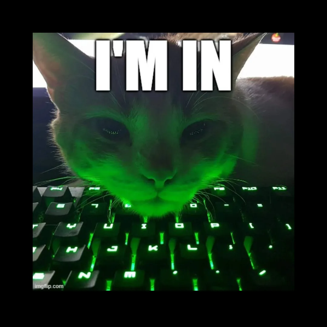 A close-up photo shows a cat's face illuminated by green light from a backlit keyboard, with the text 'I'M IN' overlaid in…