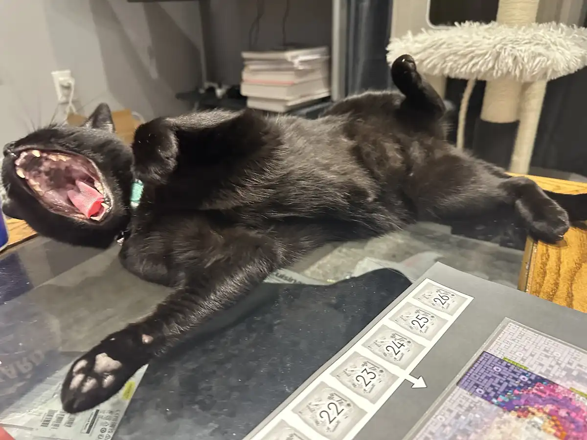 A black cat lies on its back on a glass table, yawning widely with its mouth open, revealing its teeth and tongue. In the…