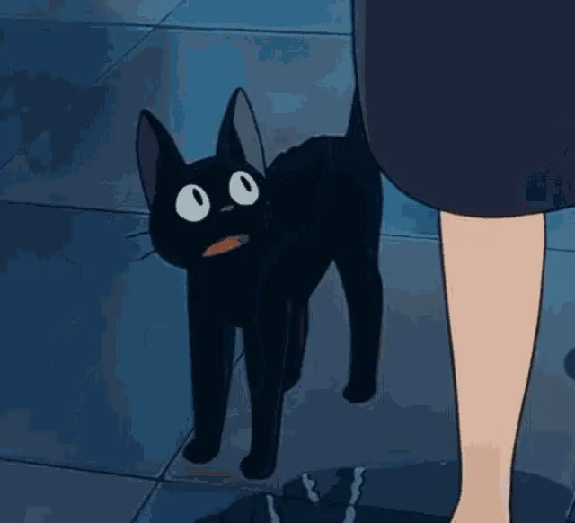 A black cat with large white eyes is shown in a sequence of panels, initially looking up at a person's legs, then turning…
