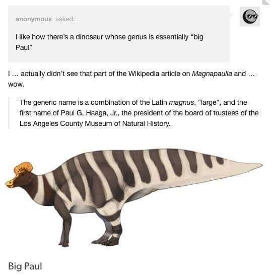 The image shows a digitally rendered dinosaur with black and white stripes, labeled 'Big Paul' at the bottom. Above the…