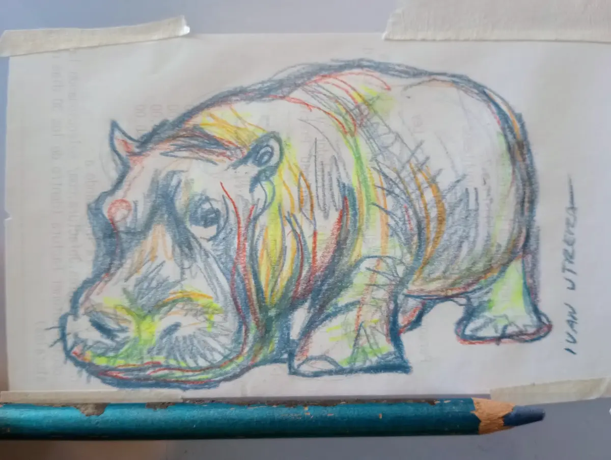 A child's crayon drawing of a hippopotamus on paper with faint text, colored with rainbow hues, signed 'Ivan Utreña' on the…