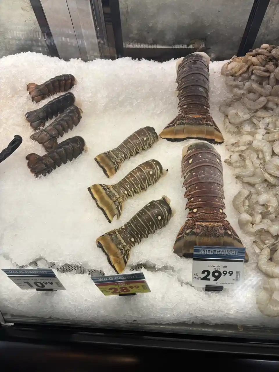 A seafood display case filled with crushed ice, featuring several lobster tails of varying sizes and a pile of shrimp to the…