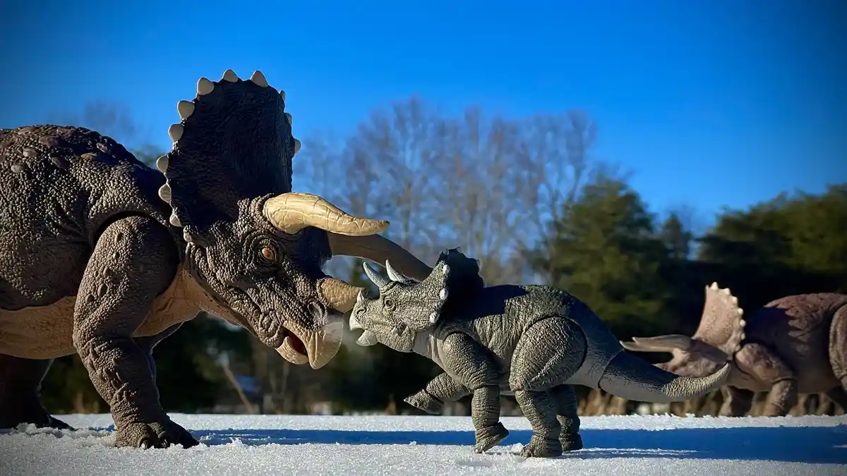 A large toy triceratops confronts a smaller toy triceratops in a snowy outdoor setting, with other toy dinosaurs visible in…