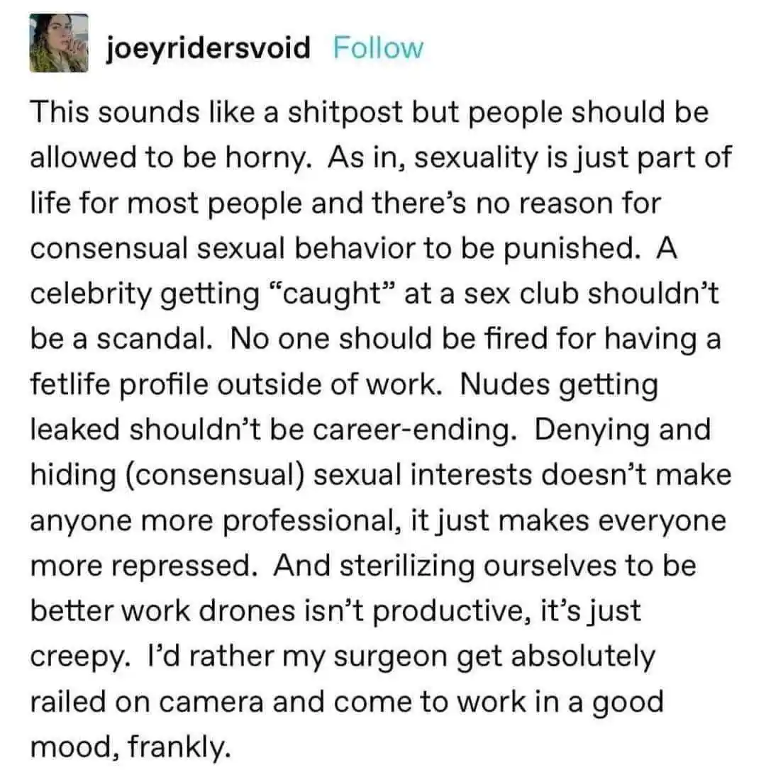 A screenshot of a social media post by 'joeyridersvoid' featuring a block of text arguing that consensual sexuality should…