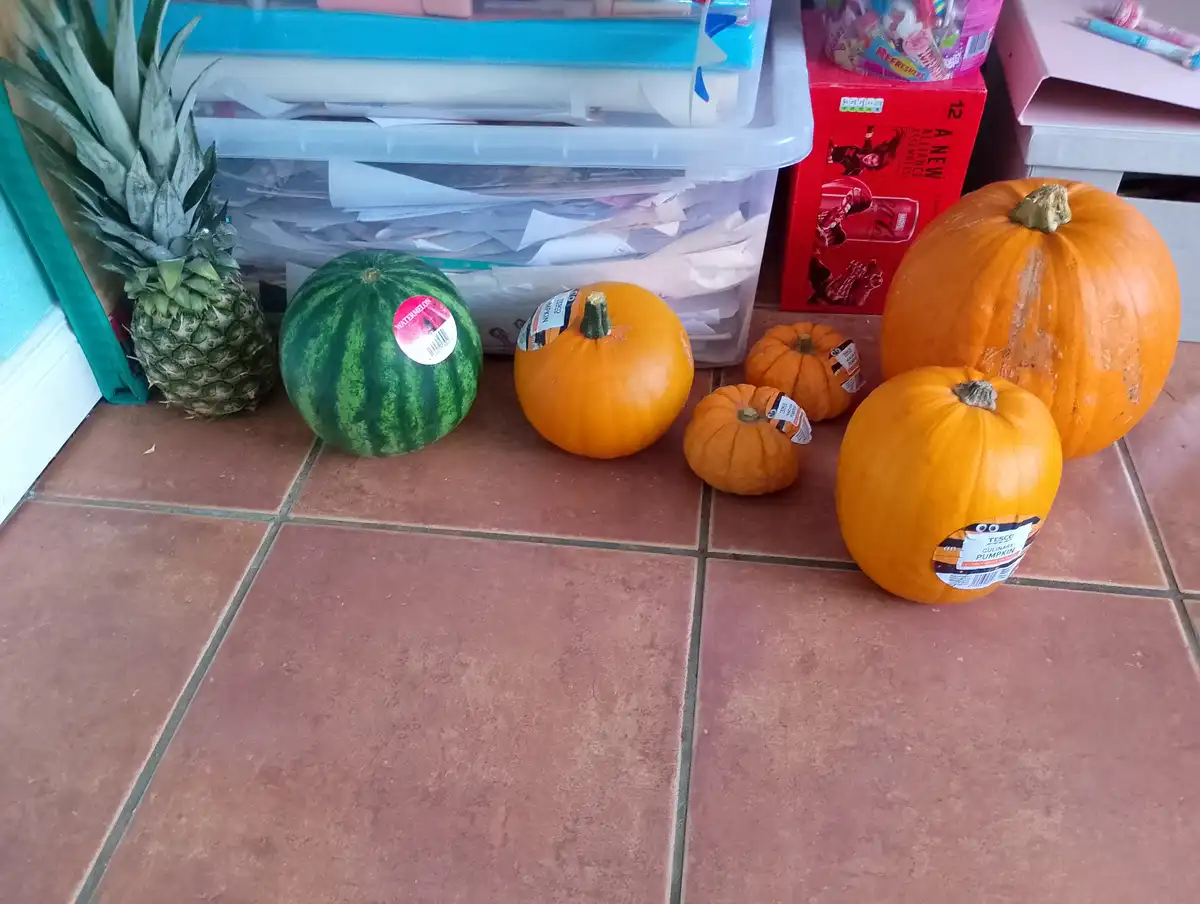 A pineapple, watermelon, and several pumpkins sit on a tiled floor next to storage bins and a red box. The watermelon has a…