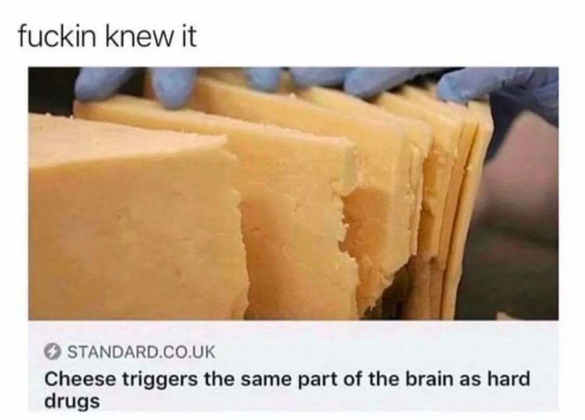 A close-up photo shows gloved hands holding a stack of thick, yellow cheese slices. Below the image, a news snippet from…