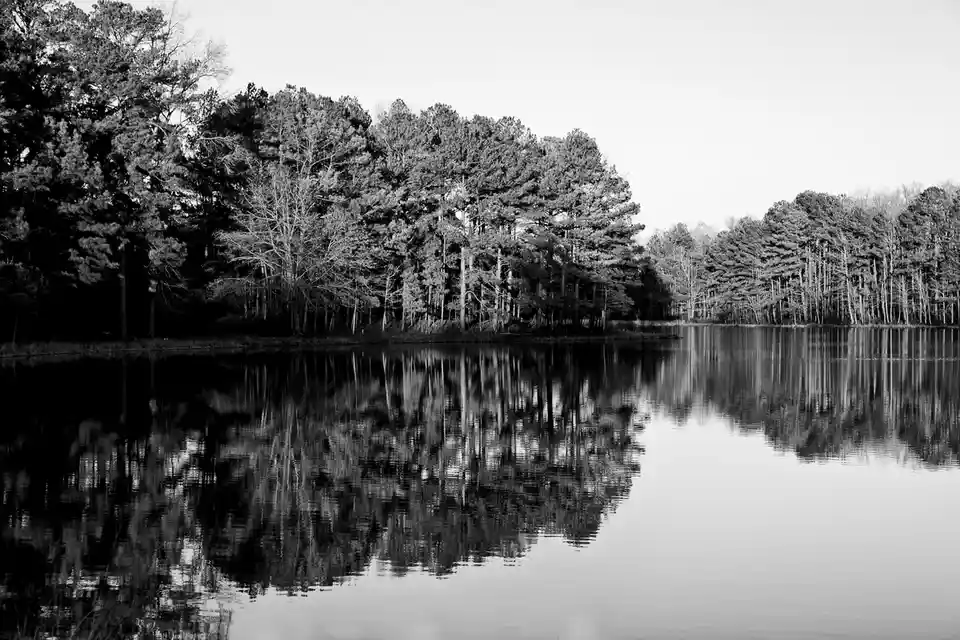 A black-and-white photo shows a calm lake reflecting a dense line of trees along its far shore. The water is still enough to…