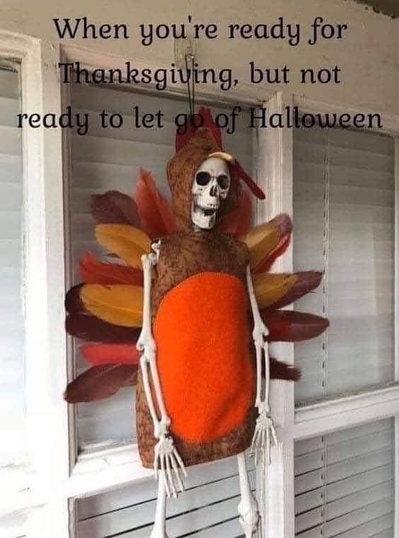 A skeleton dressed as a turkey with colorful feathers, hanging on a door with white blinds in the background. The text…