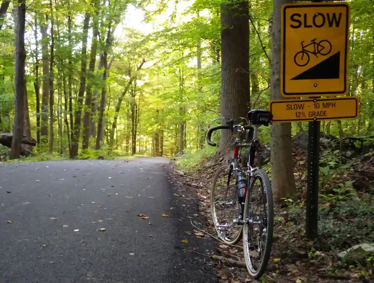 A bicycle is parked next to a yellow road sign in a forested area that reads 'SLOW' with a bike icon and a black triangle…