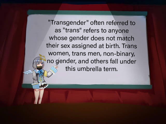 Today's Word of the Day: Transplaining