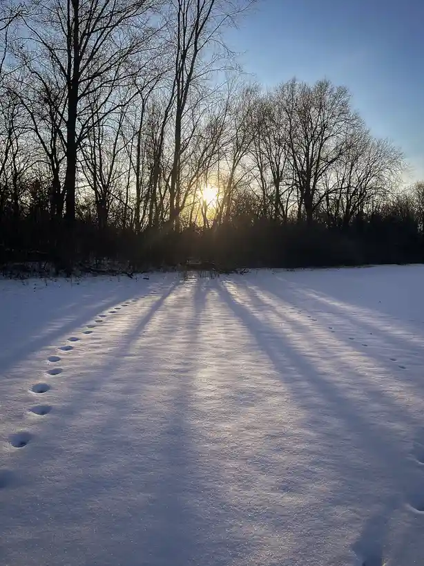 A snowy path with distinct footprints leading toward a forest where the sun is setting behind bare trees, casting long…