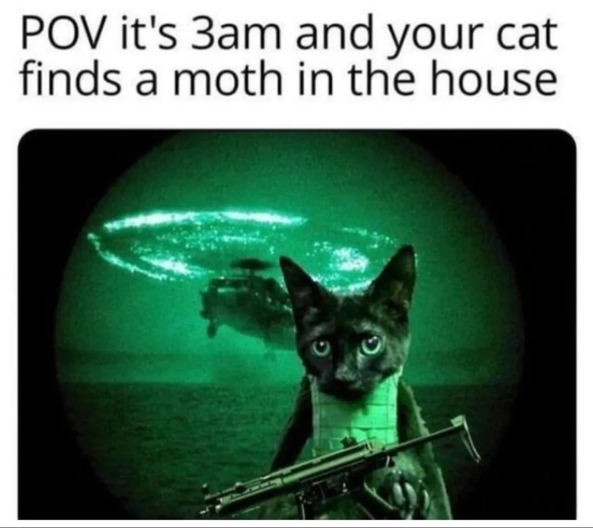 A black cat with glowing eyes, wearing a tactical vest and holding a rifle, is viewed through a green-tinted night vision…