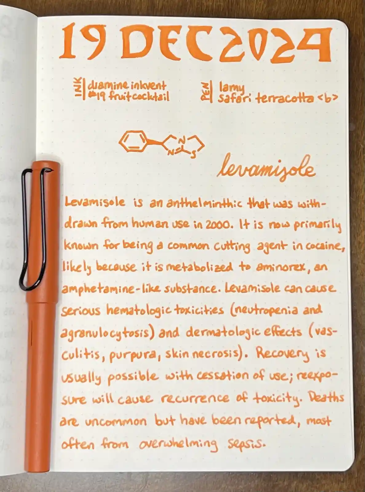 A handwritten notebook entry dated 19 DEC 2024, written in orange ink with a matching orange Lamy Safari pen resting on the…