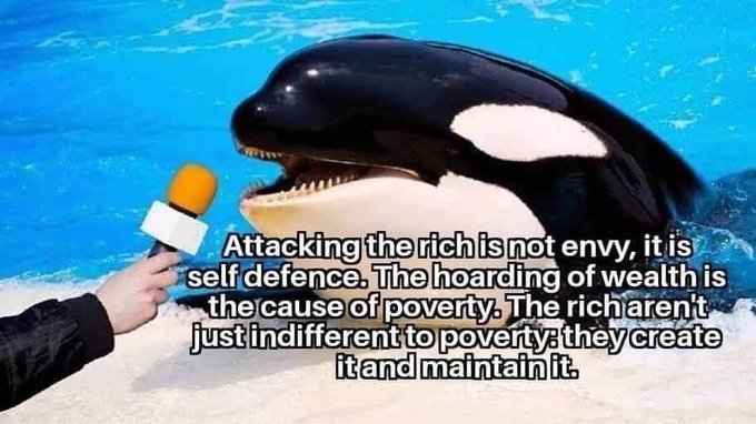 A close-up image of an orca whale underwater, its mouth open showing teeth, facing a human hand holding a microphone with an…