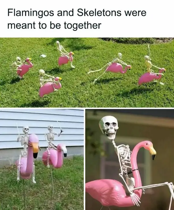The image is a collage of three photos showing plastic skeletons mounted on pink plastic flamingo lawn ornaments. The top…