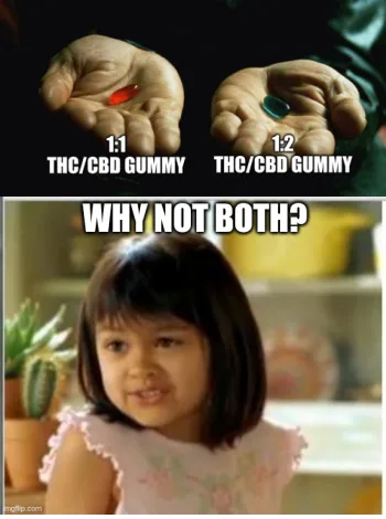 The image displays two hands, each holding a gummy candy—one red, one green—labeled '1:1 THC/CBD GUMMY' and '1:2 THC/CBD…