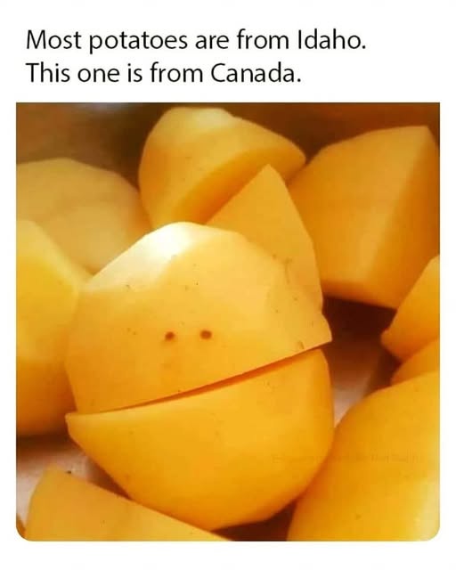 A close-up photo shows several peeled, yellowish potato chunks. One potato in the center is split in half and has two small…