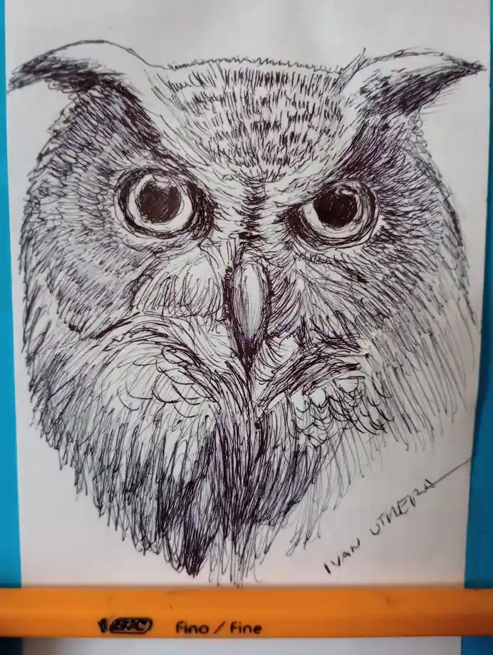 A detailed black-and-white pen drawing of an owl's face with large, expressive eyes and textured feathers, signed 'IVAN…