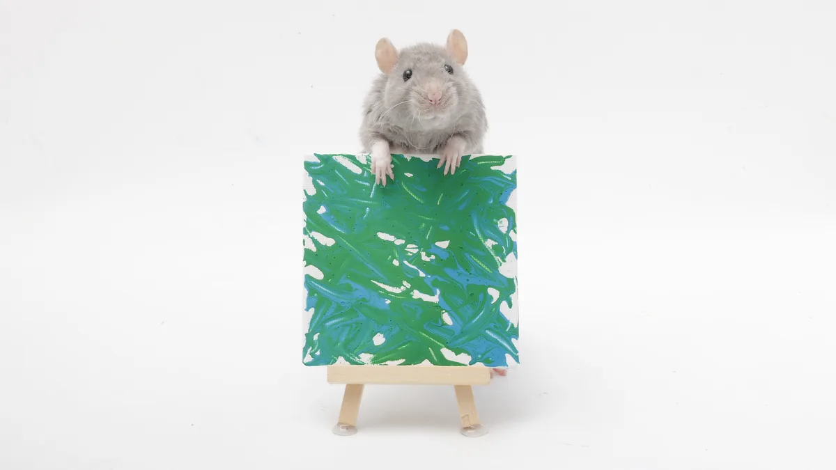 A gray rat with pink ears and nose is sitting upright behind a small canvas on a wooden easel, holding the top edge of the…