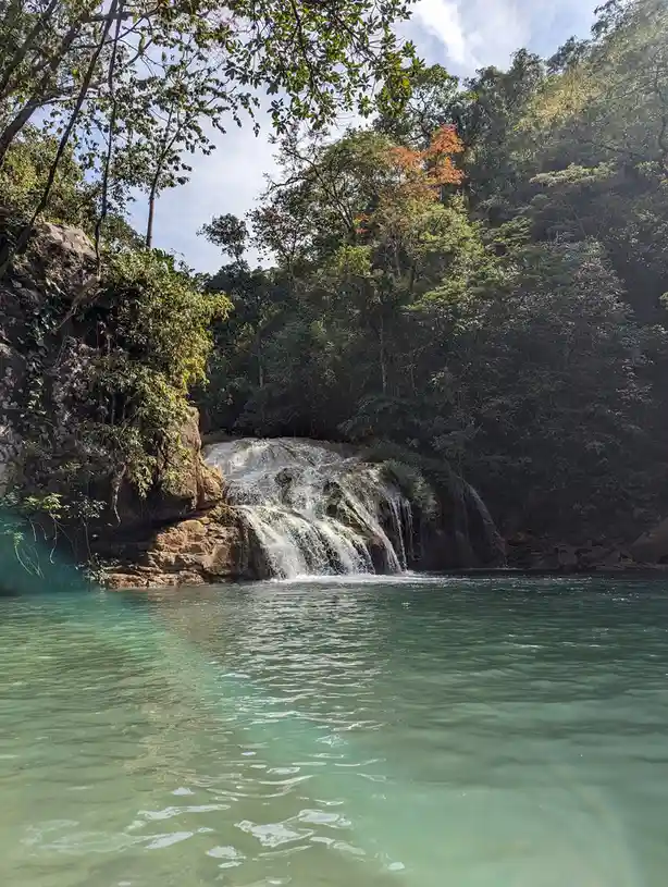 A serene tropical waterfall cascades into a clear turquoise pool surrounded by lush green jungle foliage under a partly…