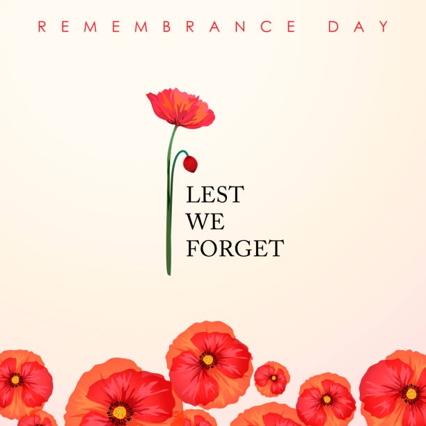 A minimalist image features a single red poppy with a green stem and a small bud, centered against a pale cream background…