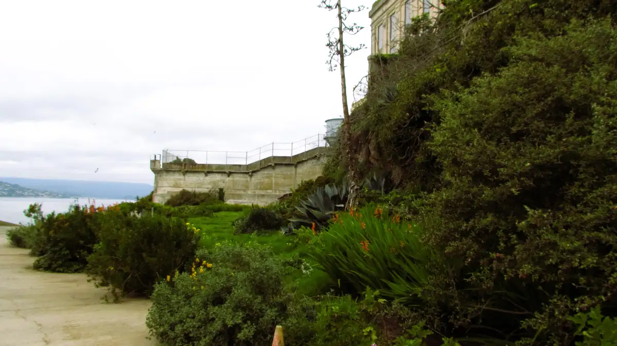 A scenic view of a coastal path with lush greenery and flowering plants, leading toward a concrete prison wall with a…