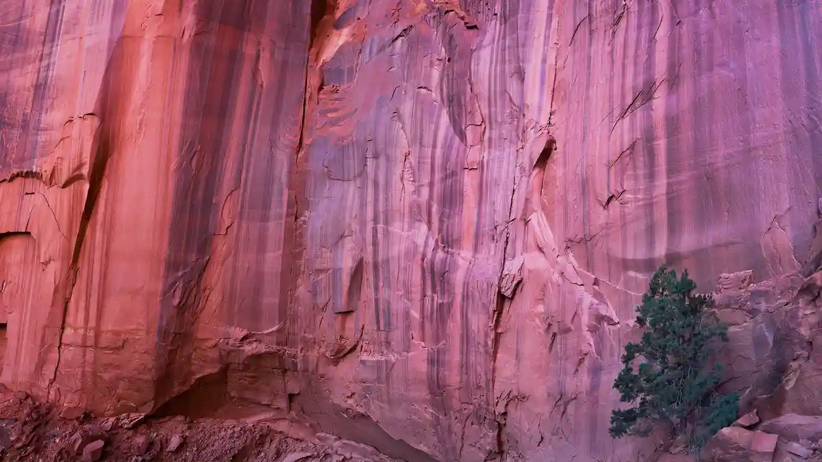 Utah's Capitol Reef National Park features chiselled red cliffs, a result of its unique geology. The park's name stems from…