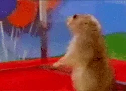A Classic That Never Gets Old!