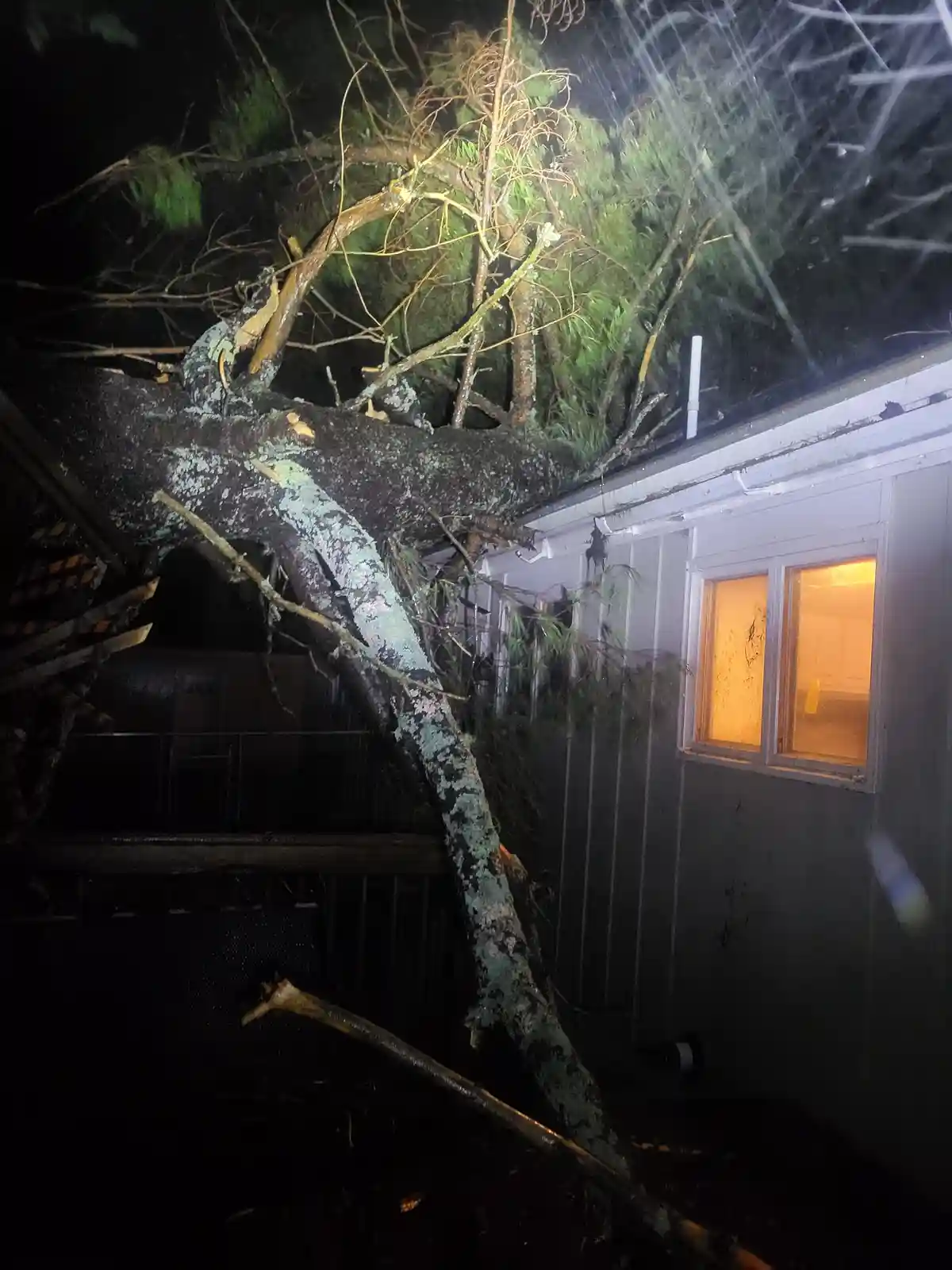 The Aftermath of Damage: A Closer Look