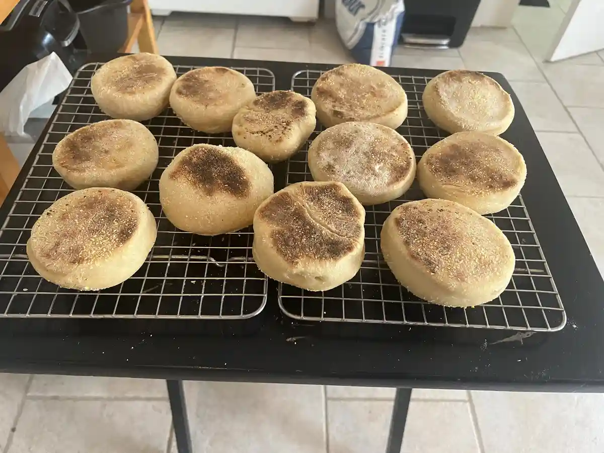 Mastering the Art of Sourdough English Muffins