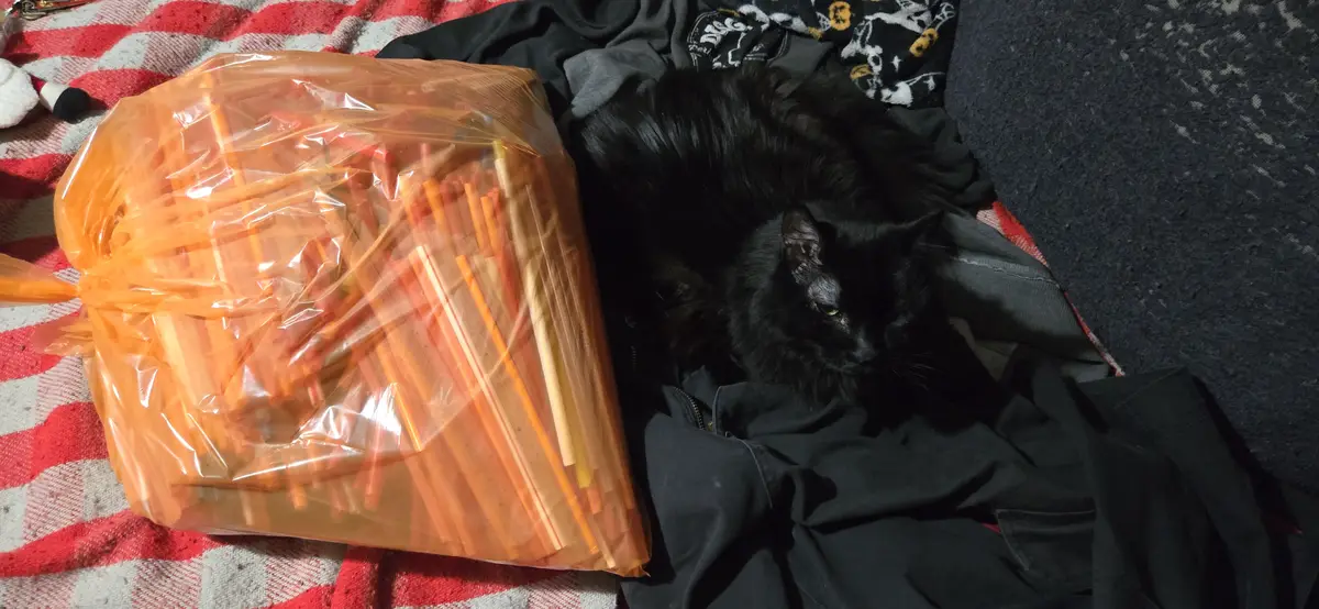 A black cat with green eyes lies on a pile of dark clothes next to a large orange plastic bag filled with colorful straws…