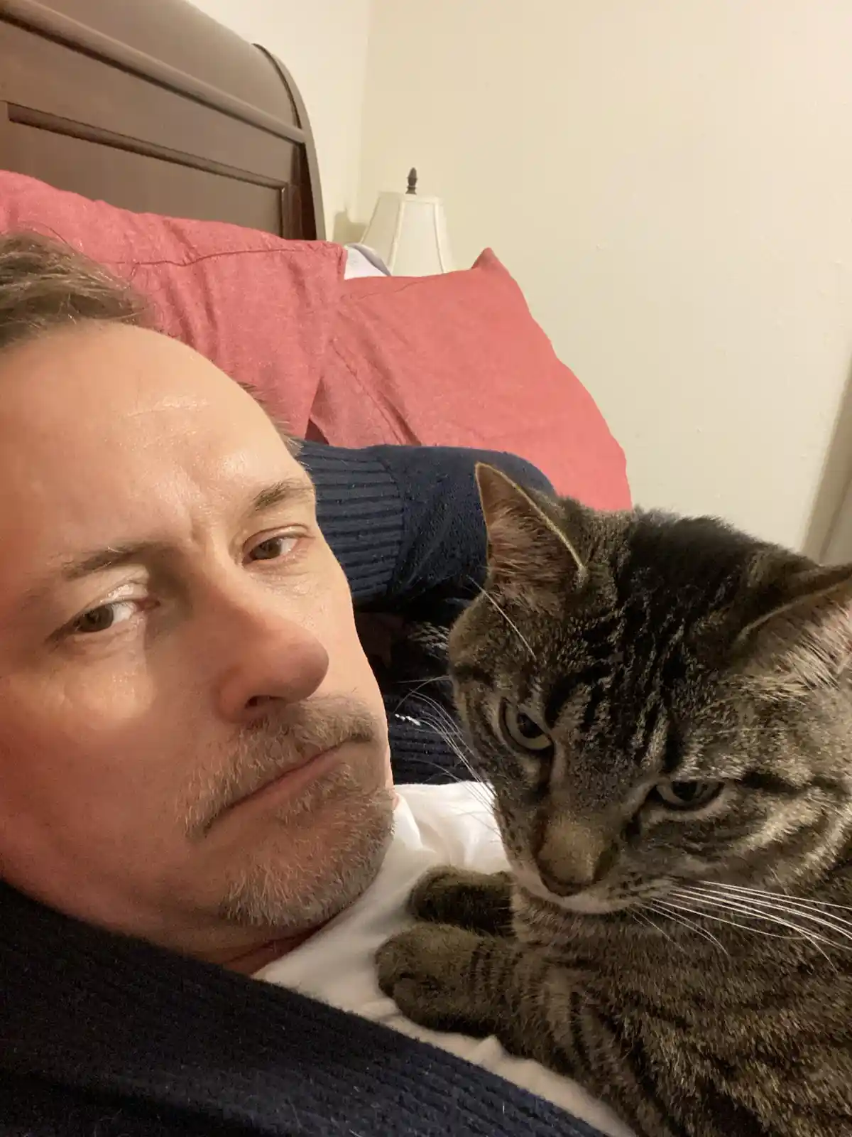 A man with a mustache lies in bed wearing a dark blue sweater, looking at the camera with a bored expression. A gray tabby…