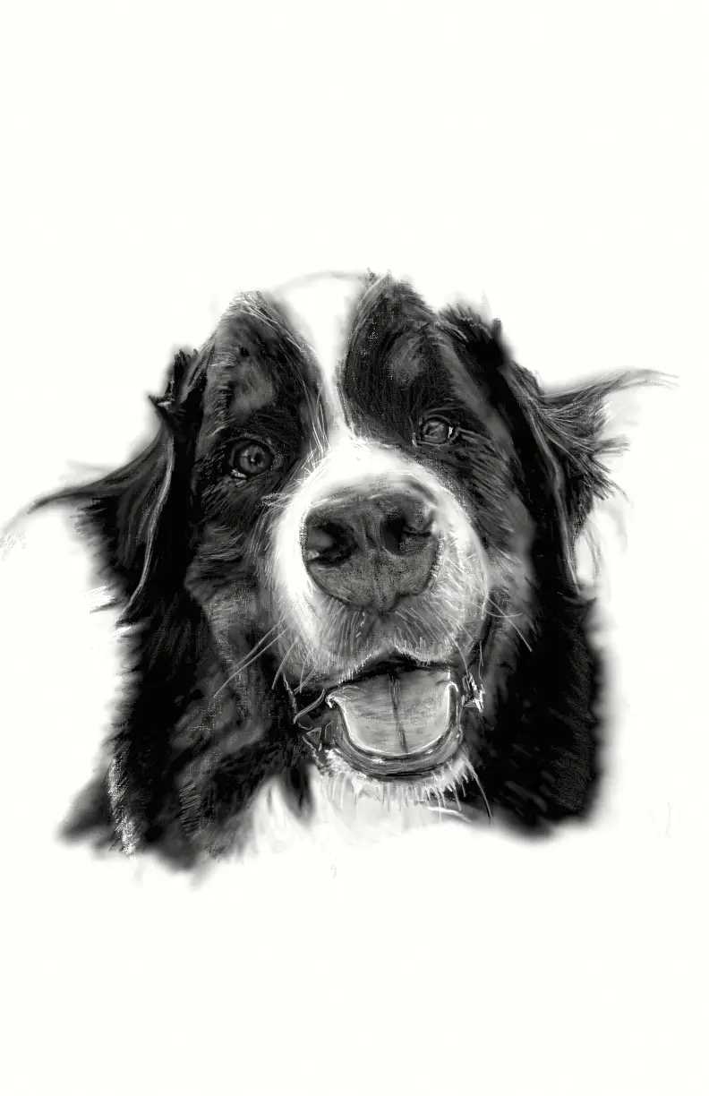 A black and white sketch-style portrait of a dog with a happy, open-mouthed expression, looking directly at the viewer. The…