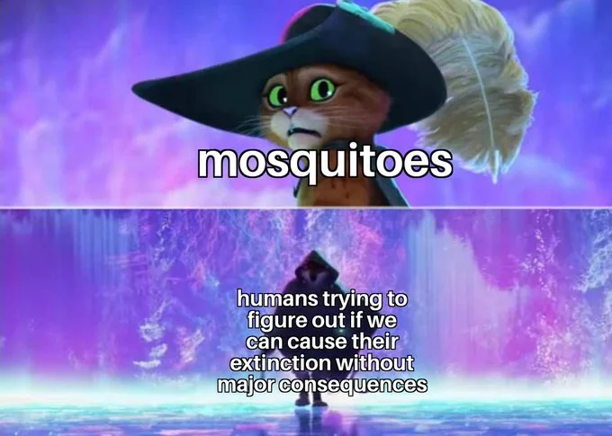The image is a two-panel meme featuring a cat character from 'Puss in Boots' wearing a large black hat with a feather in the…
