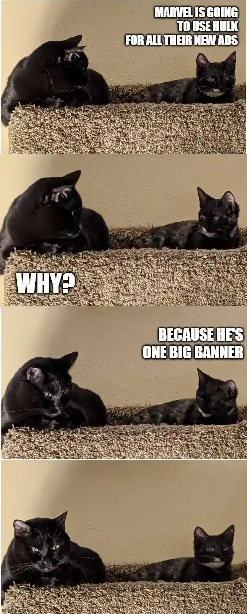 A four-panel meme featuring two black cats on a carpeted cat tree. The top panel shows one cat looking at the other, with…