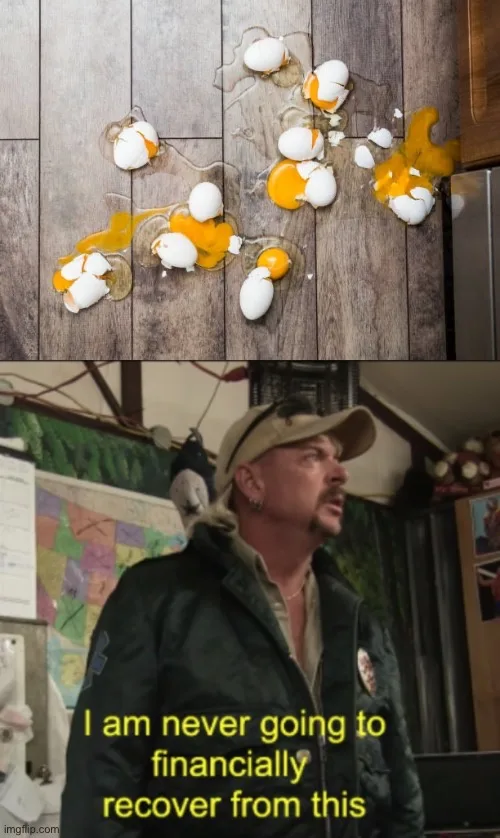 The top panel shows multiple broken eggs with yolks and whites spilled across a wooden floor. The bottom panel features a…